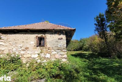 Casă cu 2 camere cu Teren 1884 Mp în Livezile - 6