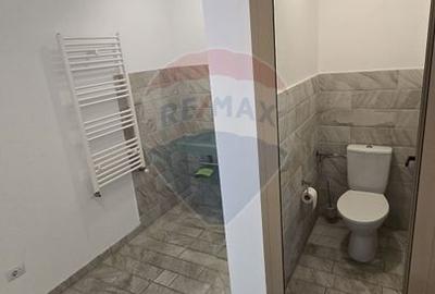 Inchiriere Spatiu Comercial - Trafic intens - 5