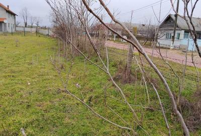 Spațiu comercial, în Jurilovca - 5