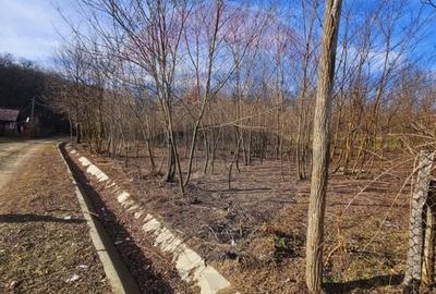 Teren 2,714mp de vanzare -  Strada Gura Vaii / Bujoreni - 4