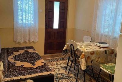 Casă individuală cu 2 camere cu Teren 2800 Mp în Boțești - 11