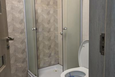 Garsonieră semidecomandată în Chiajna - 4