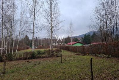 Teren deosebit pozitionat, cu livada, langa padure,  pe Valea Avrigului - 1