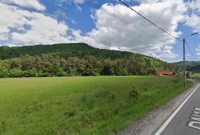 Teren de 800 mp, în Brădet - 4