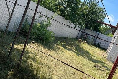 Casă cu Teren 1232 Mp în Central - 2
