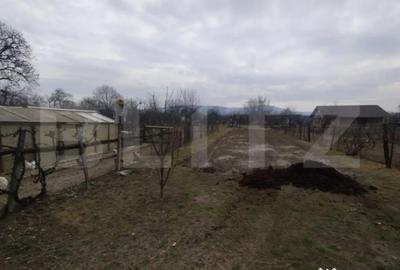 Casă cu 4 camere cu Teren 3000 Mp în Livezile - 2