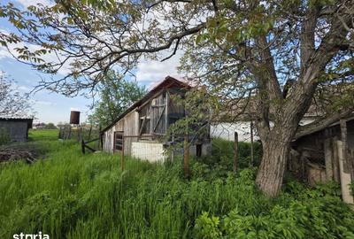 Casă cu 4 camere cu Teren 2880 Mp în Giulvăz - 9