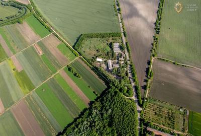 Cladire industriala de vanzare cu potential 3,5 ha in Batania - 18