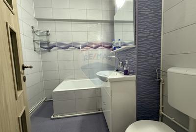 Apartament cu 2 camere decomandat, mobilat în Trocadero - 5