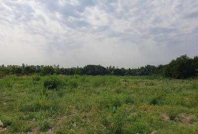 Teren construibil  cu deschidere la lac in Sector 1, Bucuresti Teren construibil  cu deschidere la lac in Sector 1, Bucuresti - 3