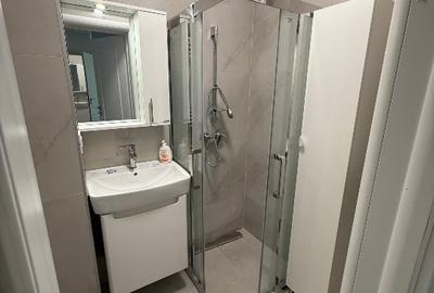 Apartament cu 3 camere, mobilat în Parcul Carol - 6