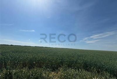 Teren de 1200 mp, în Nojorid
