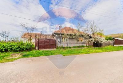 Casă cu 2 camere cu Teren 4500 Mp în Cărand - 13