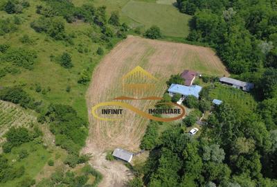 Casa batraneasca cu 2ha de teren de vanzare in sat Balaia / Bacau - 2