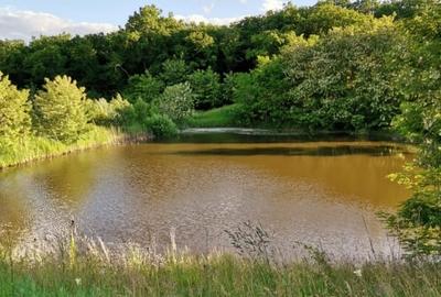 Ferma Zootehnica la standarde Europene - 5