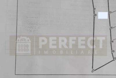 Teren 5590 mp INTRAVILAN Baicoi pret 17 euro/mp - 14