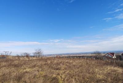 Teren Construcții intravilan de 1494 mp, în Fântânele (Hemeiuș) - 5