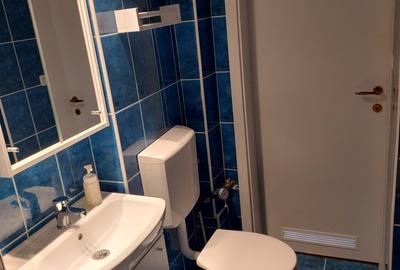 Apartament cu 2 camere nedecomandat, mobilat în Brașovul Vechi - 9