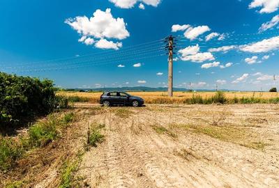 Teren intravilan – 3975 mp - 3