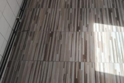 Dambu Pietros, Targu Mures - 9