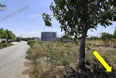 Super Oferta Teren Intravilan Asfalt Apa Curent Dobreni Comuna Berceni - 3