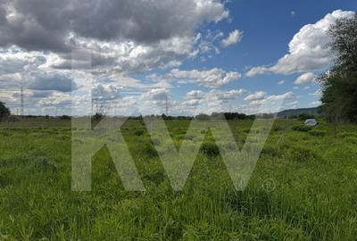 Teren extravilan arabil de vanzare – Bungard, Șelimbar - 5