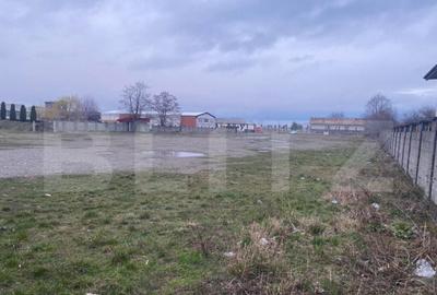 Teren intravilan, multifunc?ional, 8000mp - 5