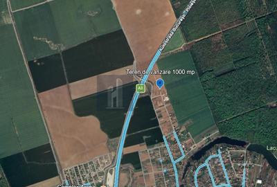 Teren agricol extravilan de 1000 mp, în Moara Vlăsiei - 2