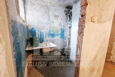 Boxa cu 2 camere in Cetate - 4