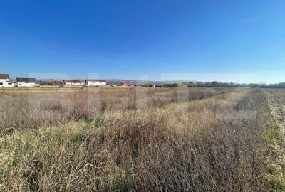 Teren Intravilan Partos - 3