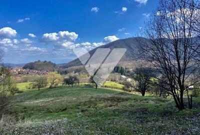 Teren Extravilan de 6630 mp - Cisnadioara - 7