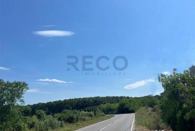 Teren de 39000 mp, în Leș - 1