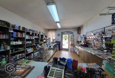 Spatiu Comercial, oras Lipova - 2