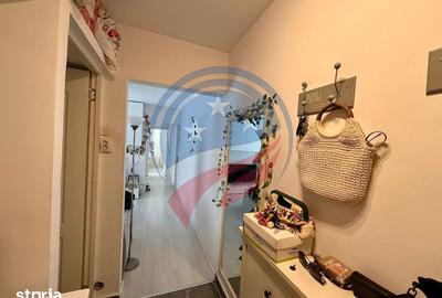 Apartament cu 3 camere semidecomandat, mobilat în Brazda lui Novac - 7
