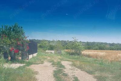 Teren situat in Balotesti,langa padure,acces drum pietruit, 28000 euro - 1