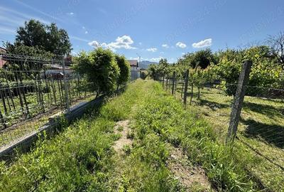 Teren de 2170 mp, în Olteni - 3