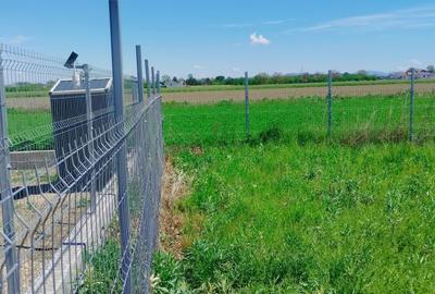 Teren de 500 mp, în Odoreu - 5
