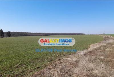 Teren de 39300 mp, în Săftica