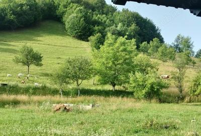 Teren de 3562 mp, în Vața de Sus