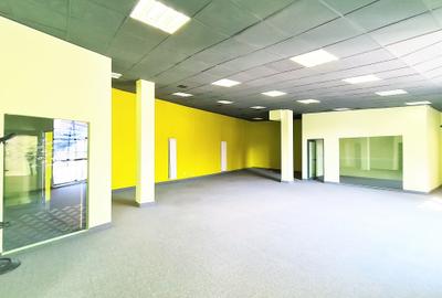 Imobil individual, multiple activitati - Stefan cel Mare - 5