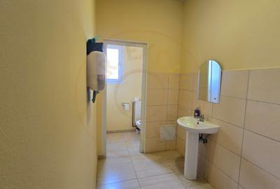 Birou, de 140 mp, în Careiului - 6