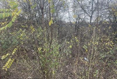 Teren in suprafata de 2165 mp cu front de 30 ml - 2