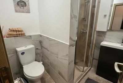 Universitate, Rosetti, centrala, pet friendly,minim 6luni! - 10