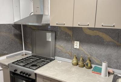 Apartament cu 2 camere decomandat, mobilat în Gorjului - 4