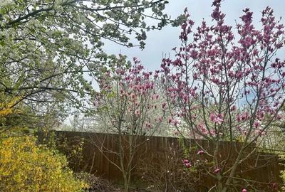 Casă individuală cu 5 camere în Pietrărie - 15