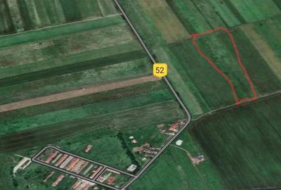 Teren de 33800 mp, în Pișchia - 2