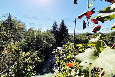 Casă cu 3 camere cu Teren 300 Mp în Dancu - 12