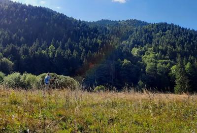 Teren Construcții intravilan de 2089 mp, în Schitu Tarcău - 10