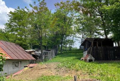 Vila NOUA langa Campulung-Muscel - 12