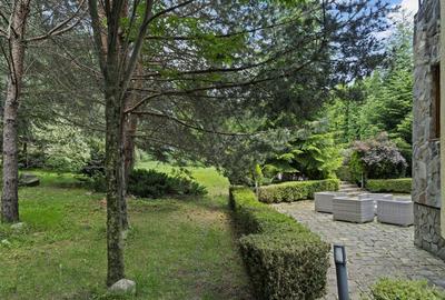 Domeniul Carpați - Vilă cu parc privat si panoramă montană ideal Airbnb/Booking - 2